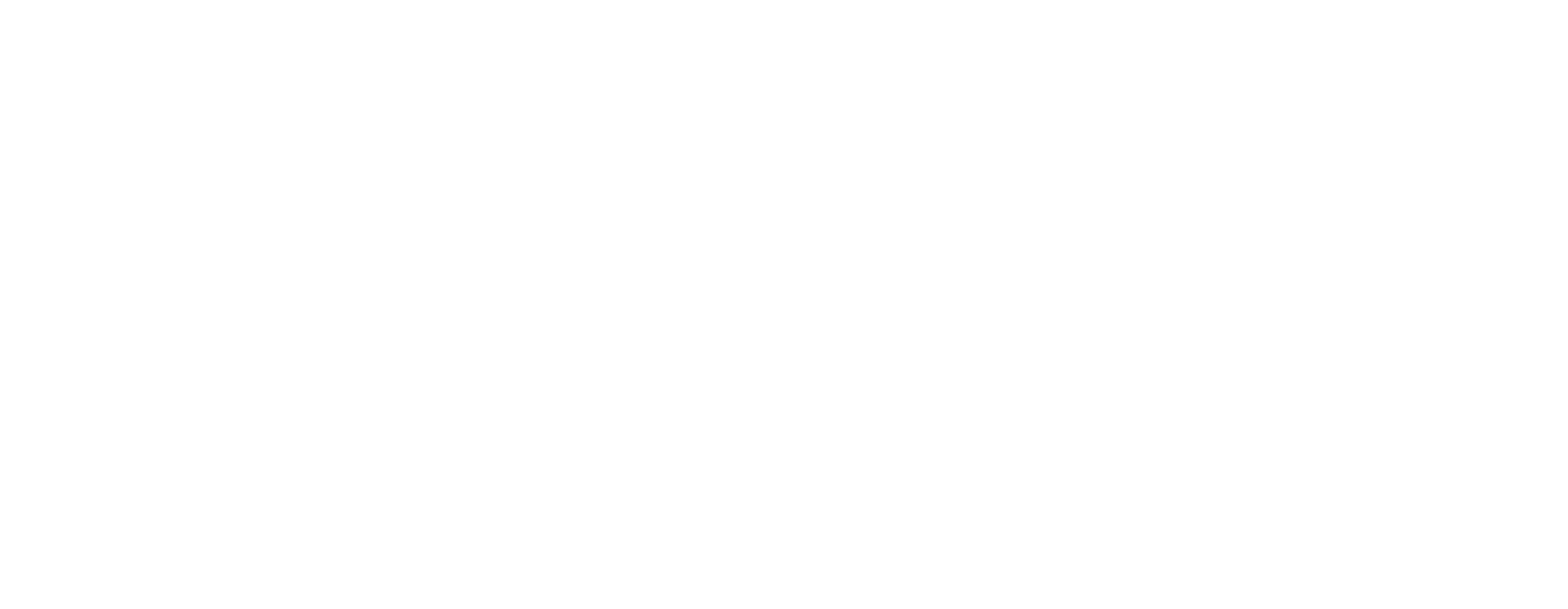 AFA logo white